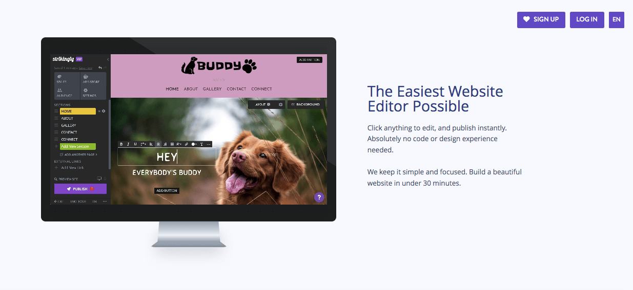 A testimonial written for Strikingly A testimonial written for Strikingly